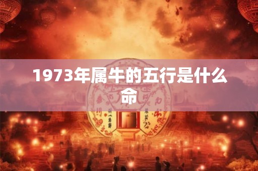 1973年属牛的五行是什么命