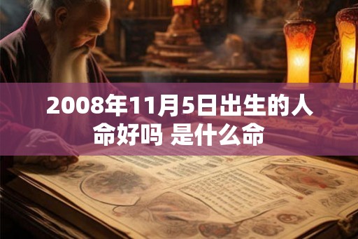 2008年11月5日出生的人命好吗 是什么命