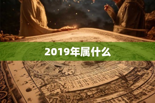 2019年属什么