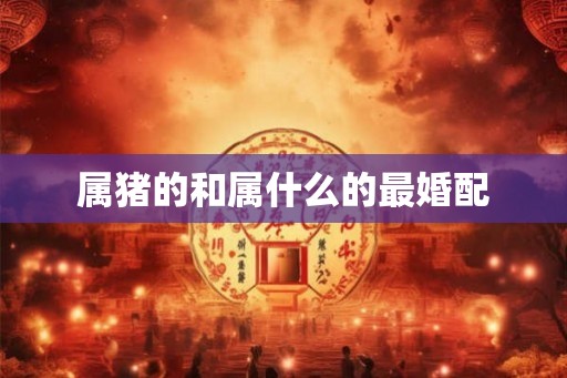 属猪的和属什么的最婚配