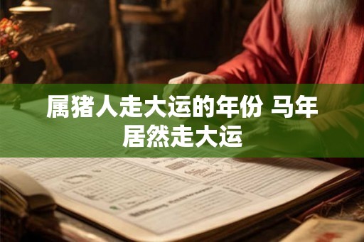 属猪人走大运的年份 马年居然走大运