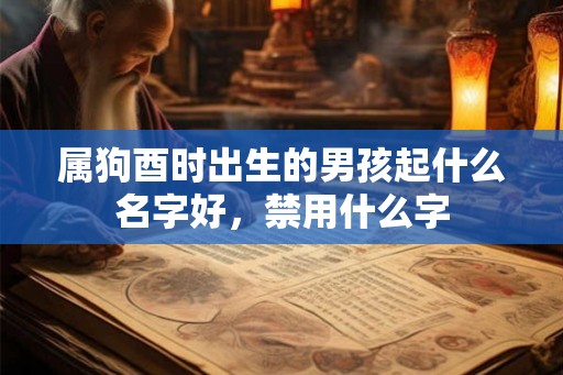 属狗酉时出生的男孩起什么名字好，禁用什么字