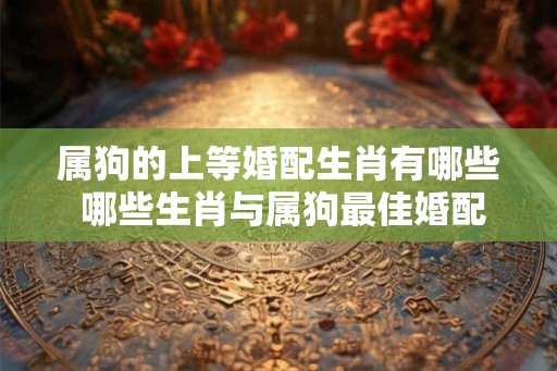 属狗的上等婚配生肖有哪些 哪些生肖与属狗最佳婚配