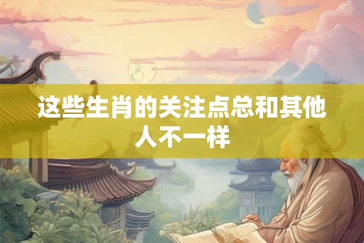 这些生肖的关注点总和其他人不一样
