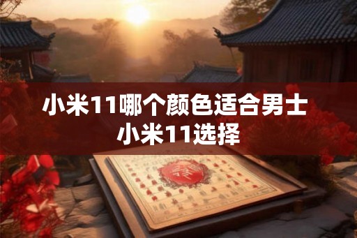 小米11哪个颜色适合男士 小米11选择