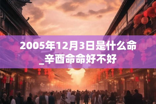 2005年12月3日是什么命_辛酉命命好不好