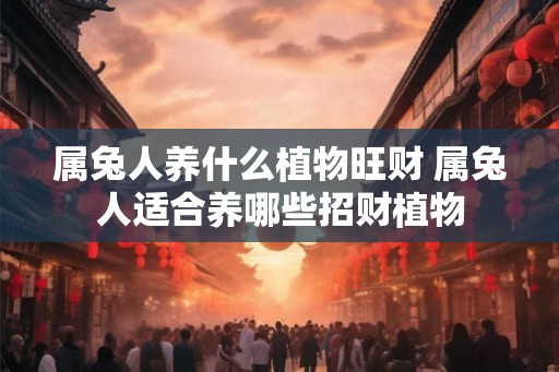 属兔人养什么植物旺财 属兔人适合养哪些招财植物
