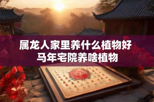 属龙人家里养什么植物好 马年宅院养啥植物 属龙人家里养什么植物好 马年宅院养啥植物