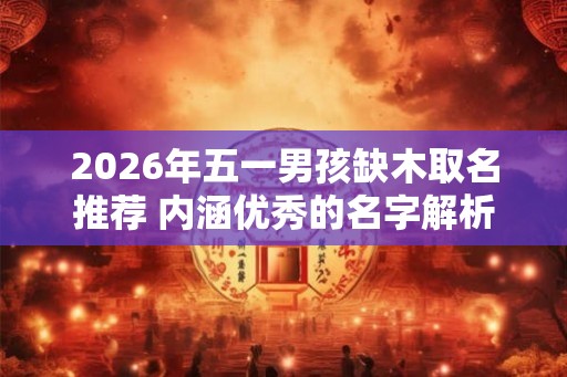 2026年五一男孩缺木取名推荐 内涵优秀的名字解析