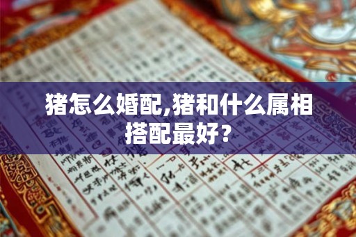 猪怎么婚配,猪和什么属相搭配最好? 猪怎么婚配,猪和什么属相搭配最好?