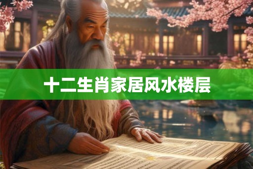 十二生肖家居风水楼层