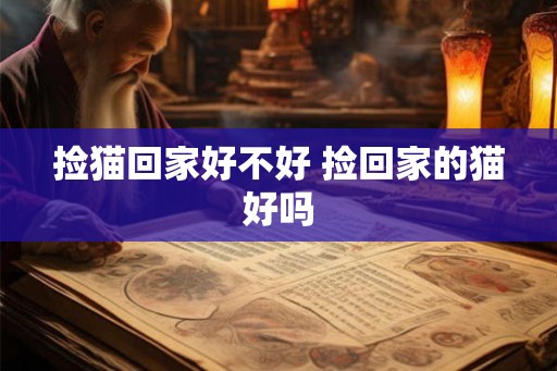 捡猫回家好不好 捡回家的猫好吗