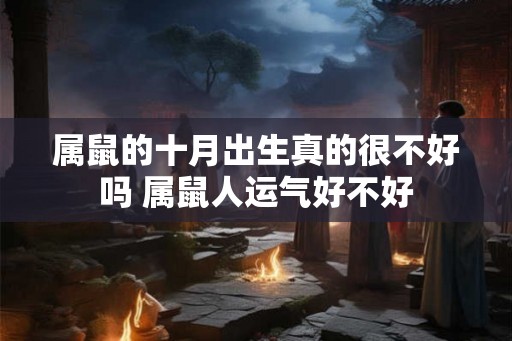 属鼠的十月出生真的很不好吗 属鼠人运气好不好 属鼠的十月出生真的很不好吗 属鼠人运气好不好