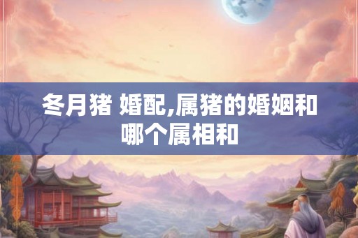 冬月猪 婚配,属猪的婚姻和哪个属相和