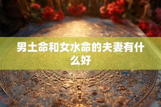 男土命和女水命的夫妻有什么好 男土命和女水命的夫妻有什么好