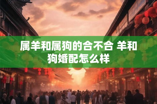 属羊和属狗的合不合 羊和狗婚配怎么样 属羊和属狗的合不合 羊和狗婚配怎么样