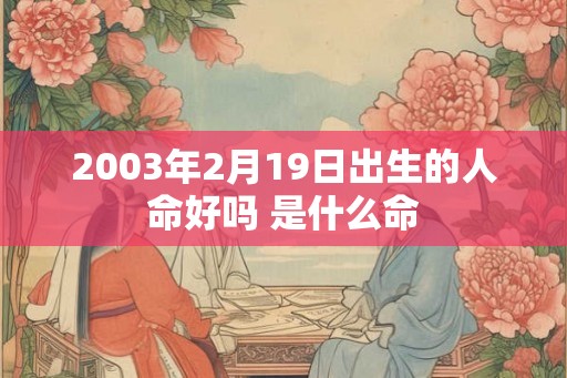 2003年2月19日出生的人命好吗 是什么命