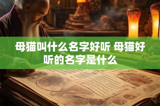 母猫叫什么名字好听 母猫好听的名字是什么