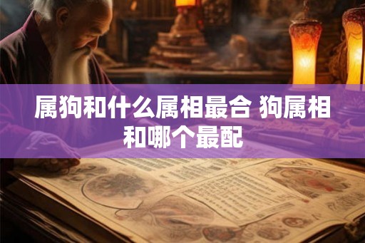 属狗和什么属相最合 狗属相和哪个最配 属狗和什么属相最合 狗属相和哪个最配