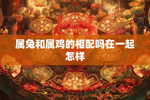 属兔和属鸡的相配吗在一起怎样