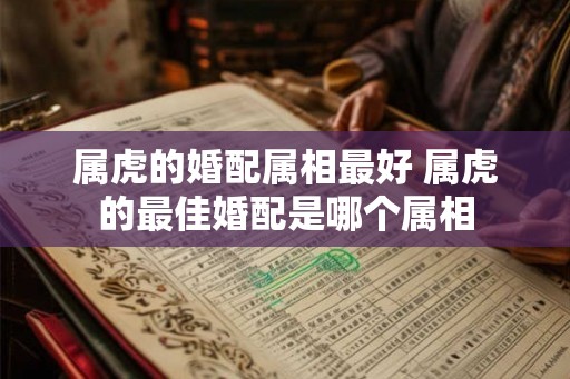 属虎的婚配属相最好 属虎的最佳婚配是哪个属相 属虎的婚配属相最好 属虎的最佳婚配是哪个属相