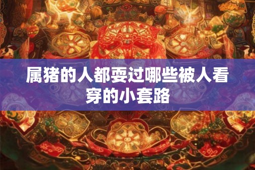 属猪的人都耍过哪些被人看穿的小套路