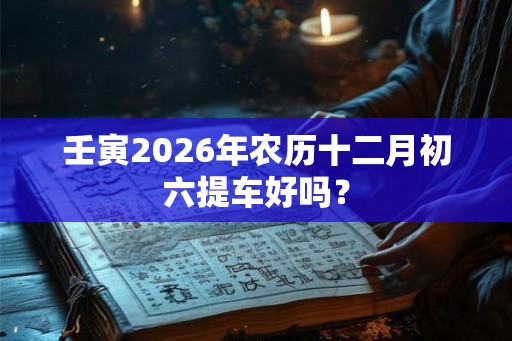 壬寅2026年农历十二月初六提车好吗？