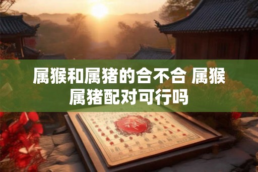 属猴和属猪的合不合 属猴属猪配对可行吗