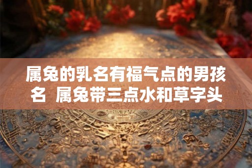属兔的乳名有福气点的男孩名  属兔带三点水和草字头取名