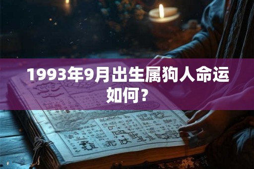 1993年9月出生属狗人命运如何？