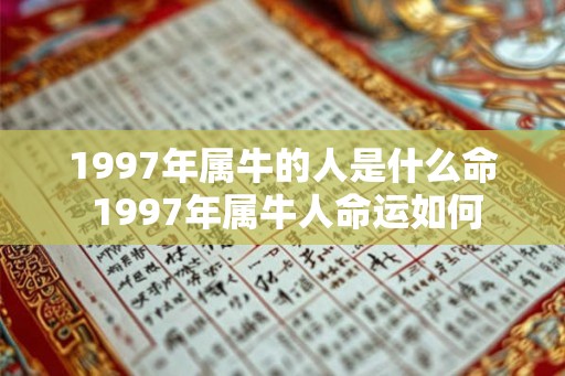 1997年属牛的人是什么命 1997年属牛人命运如何