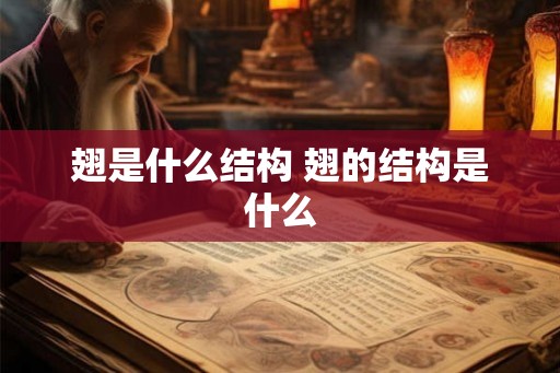 翅是什么结构 翅的结构是什么