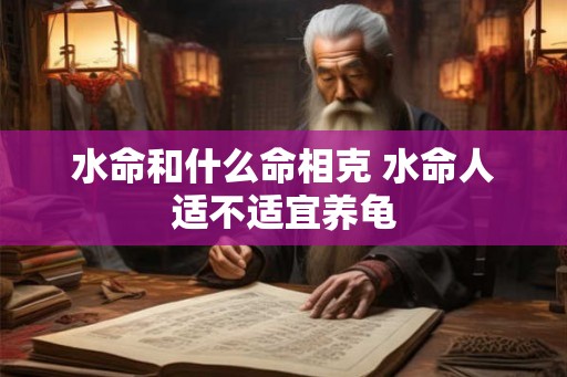 水命和什么命相克 水命人适不适宜养龟