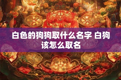 白色的狗狗取什么名字 白狗该怎么取名