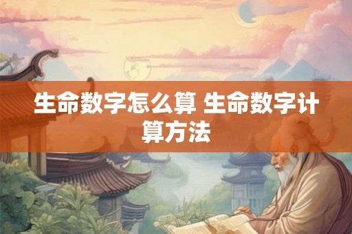 生命数字怎么算 生命数字计算方法
