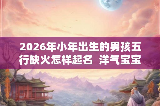 2026年小年出生的男孩五行缺火怎样起名  洋气宝宝名
