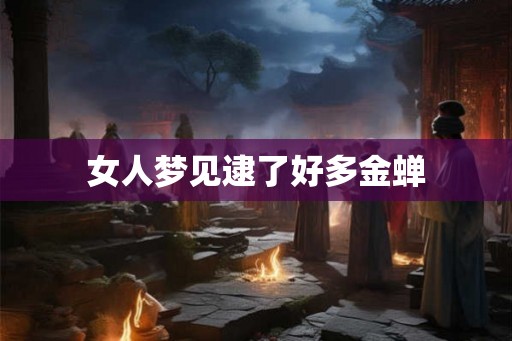 女人梦见逮了好多金蝉