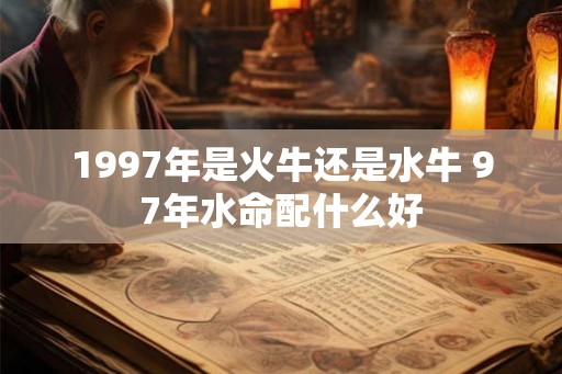 1997年是火牛还是水牛 97年水命配什么好