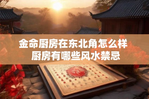 金命厨房在东北角怎么样 厨房有哪些风水禁忌 金命厨房在东北角怎么样 厨房有哪些风水禁忌