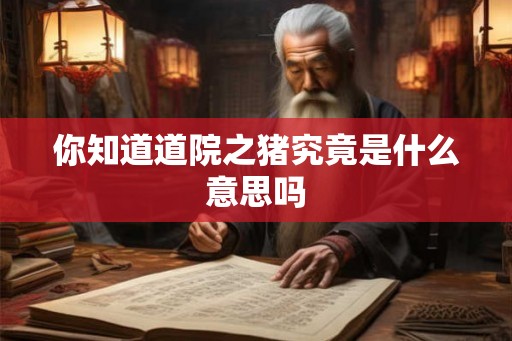 你知道道院之猪究竟是什么意思吗 你知道道院之猪究竟是什么意思吗