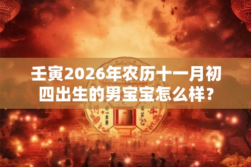 壬寅2026年农历十一月初四出生的男宝宝怎么样？