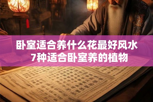 卧室适合养什么花最好风水  7种适合卧室养的植物