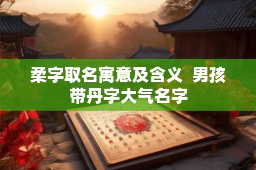 柔字取名寓意及含义  男孩带丹字大气名字