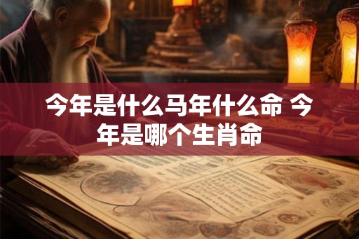 今年是什么马年什么命 今年是哪个生肖命