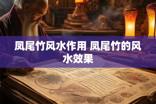 凤尾竹风水作用 凤尾竹的风水效果