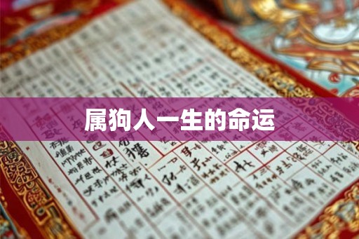 属狗人一生的命运 属狗人一生的命运