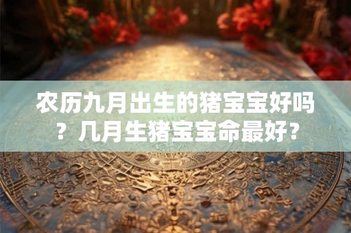 农历九月出生的猪宝宝好吗？几月生猪宝宝命最好？