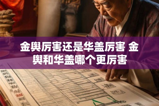 金舆厉害还是华盖厉害 金舆和华盖哪个更厉害