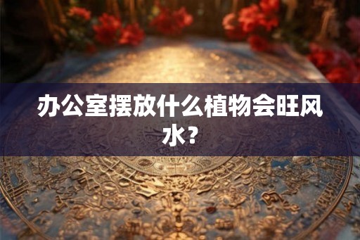办公室摆放什么植物会旺风水？