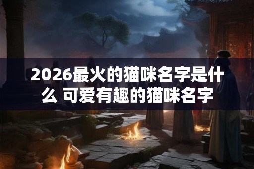 2026最火的猫咪名字是什么 可爱有趣的猫咪名字